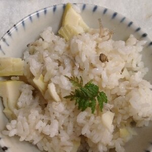 【高知食材】筍じゃこご飯